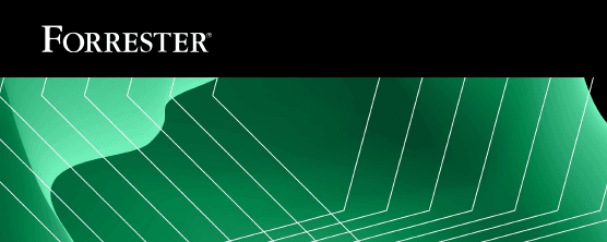 Forrester 2025 TEI Card Image