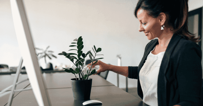 office plant also a great gift