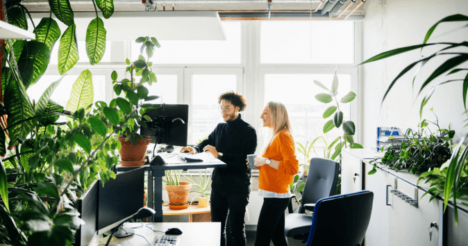 A team working in a green space