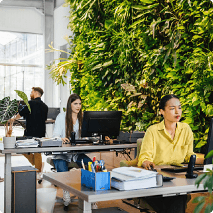 A modern office space with three employees working. Two women sit at desks engaged with their computers, while a man stands in the background, appearing to organize documents. The office features a vibrant green living wall of plants, contributing to a fresh and inviting atmosphere.