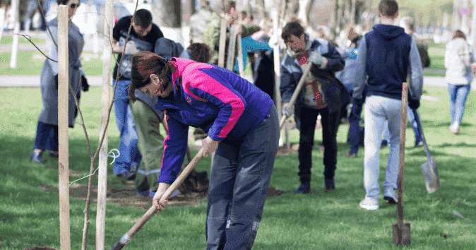 tree planting is a suitable activity for large groups