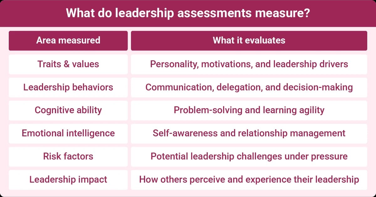 Leadership assessment areas including traits and values, leadership behaviors, cognitive ability, emotional intelligence, risk factors, and leadership impact