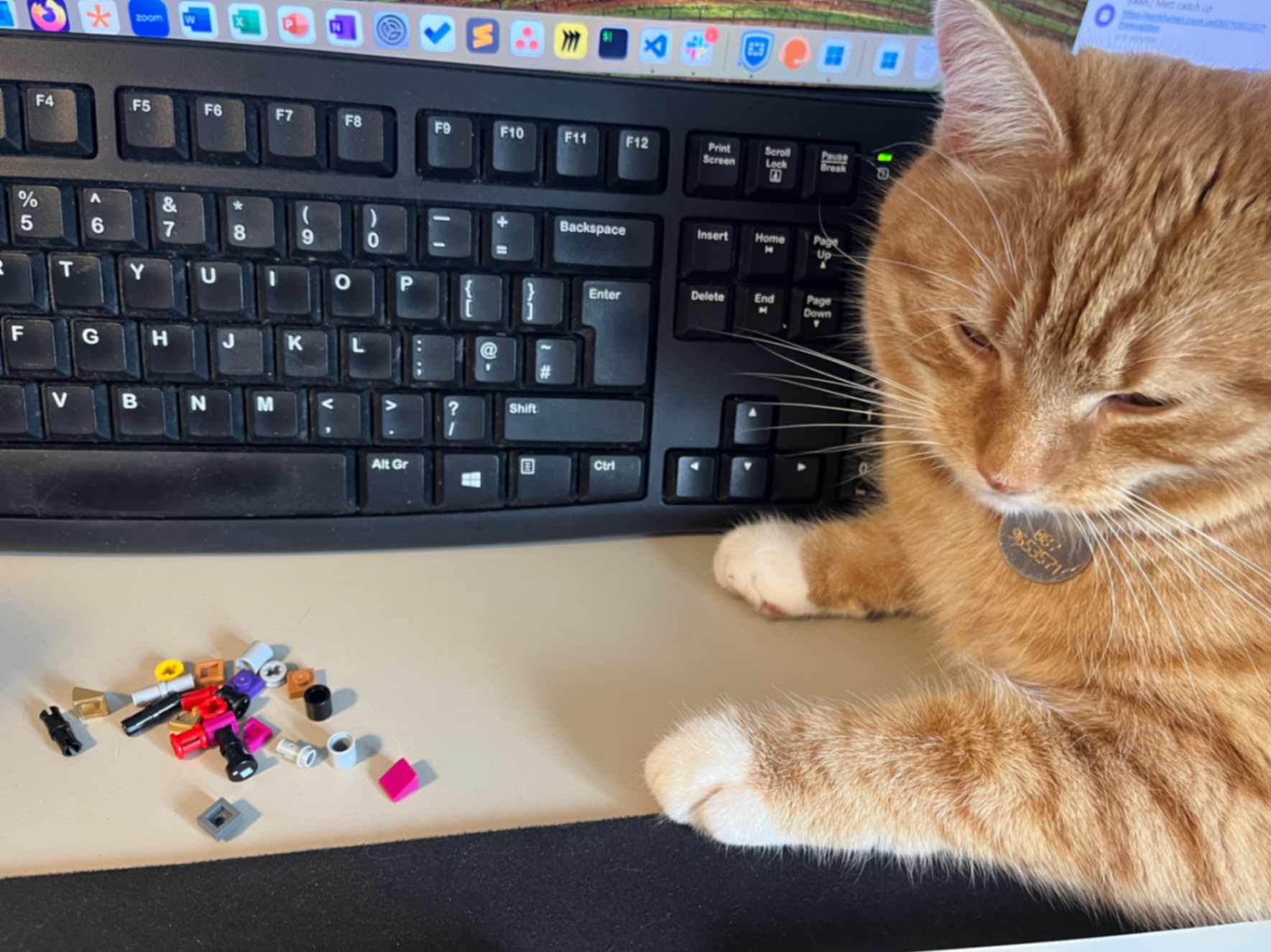 A close-up view of a computer keyboard with a light-colored cat resting next to it. The cat has a collar with a tag and is partially obscured by the keyboard. Scattered in front of the keyboard are various small, colorful plastic pieces, resembling LEGO or similar toys. The scene captures a casual workspace environment.