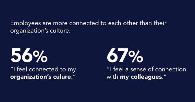 Employees are more connected to each other than their organization's culture