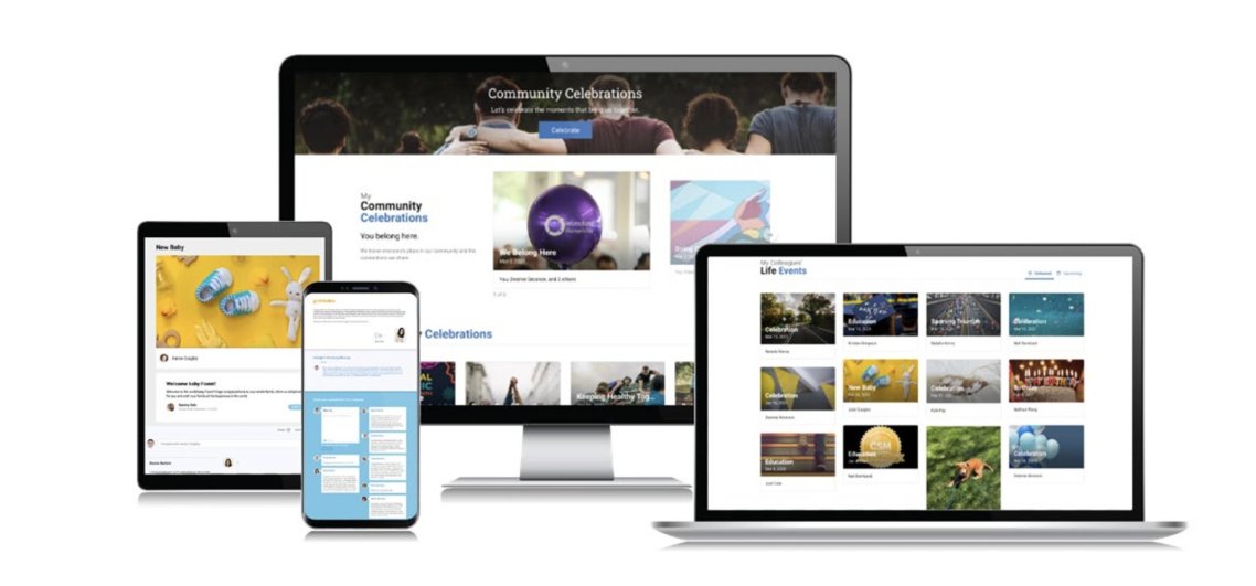 celebration suite brief image