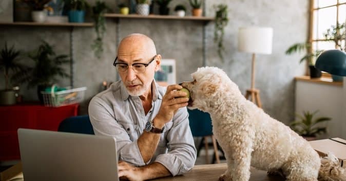 best online games to play on zoom